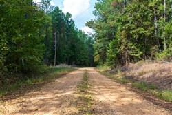 property photo for Willow Grove Tract 1, 5.14 acres for sale in Lamar County, Alabama