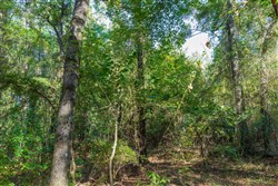 property photo for Willow Grove Tract 4, 6.23 acres for sale in Lamar County, Alabama