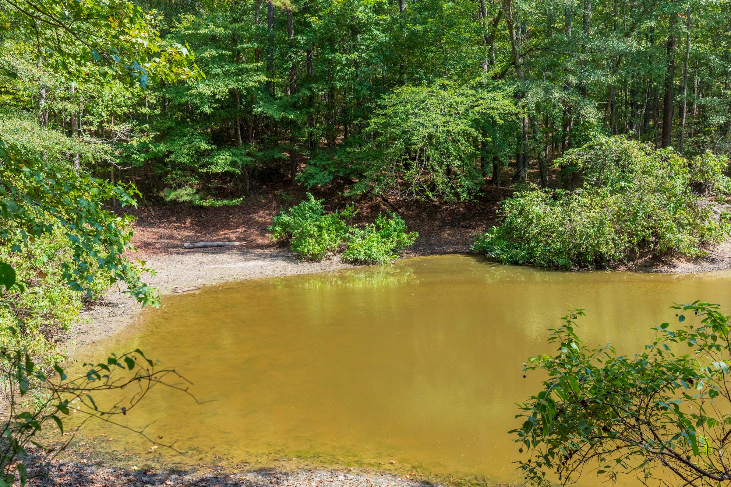Tract 8 at Willow Grove in Lamar County, Alabama